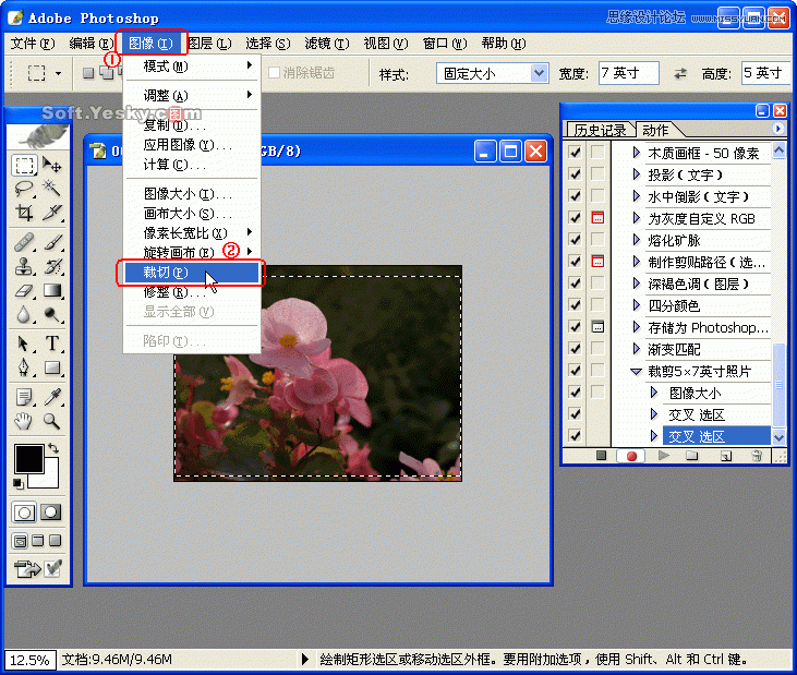 Photoshop巧用动作按比例自动批量裁剪照片,52photoshop教程