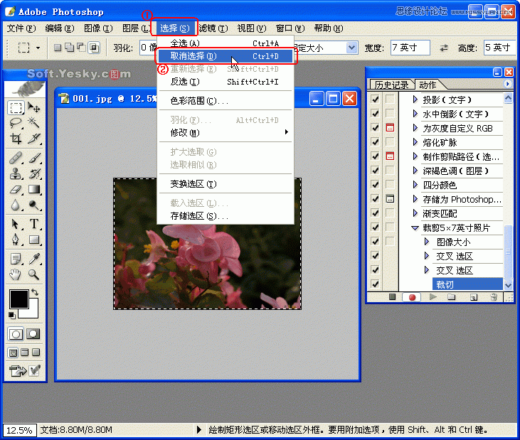 Photoshop巧用动作按比例自动批量裁剪照片,52photoshop教程