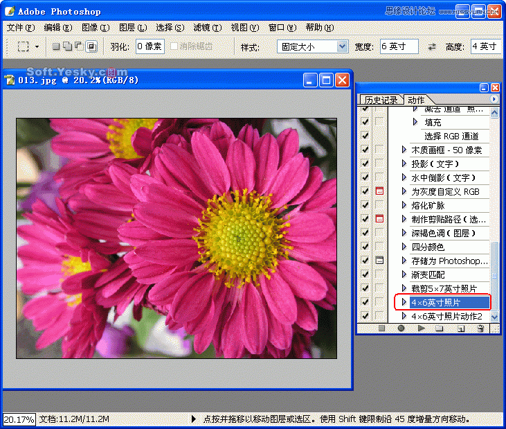 Photoshop巧用动作按比例自动批量裁剪照片,52photoshop教程