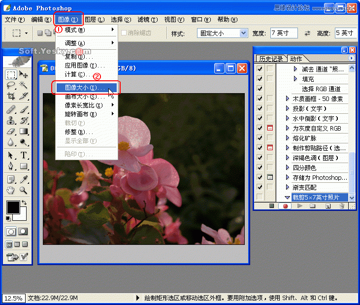 Photoshop巧用动作按比例自动批量裁剪照片,52photoshop教程