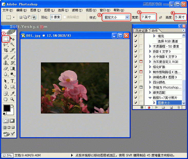 Photoshop巧用动作按比例自动批量裁剪照片,52photoshop教程