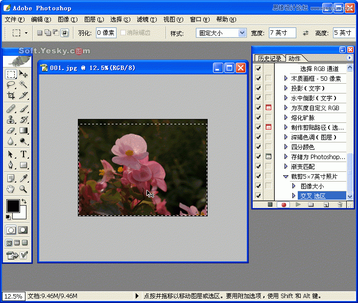 Photoshop巧用动作按比例自动批量裁剪照片,52photoshop教程