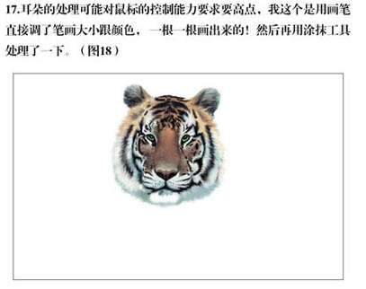 PS绘制逼真东北虎 优图宝 PS鼠绘教程