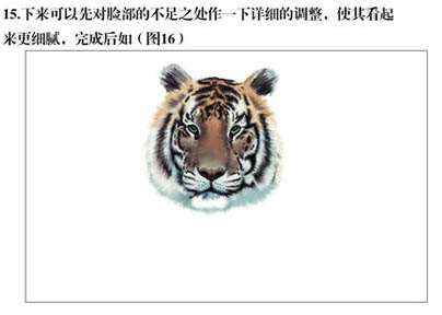 PS绘制逼真东北虎 优图宝 PS鼠绘教程