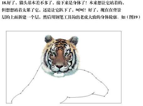 PS绘制逼真东北虎 优图宝 PS鼠绘教程