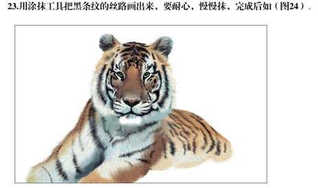 PS绘制逼真东北虎 优图宝 PS鼠绘教程