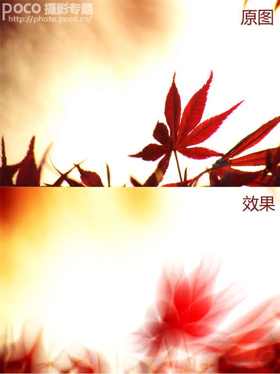 PS鼠绘唯美花卉效果 优图宝 PS鼠绘教程禅意唯美花卉PS技巧 三联
