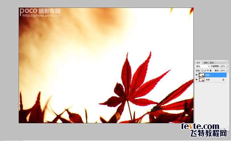 PS鼠绘唯美花卉效果 优图宝 PS鼠绘教程