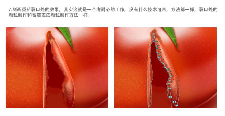 PS鼠绘成熟绽裂的西红柿 优图宝 PS鼠绘教程