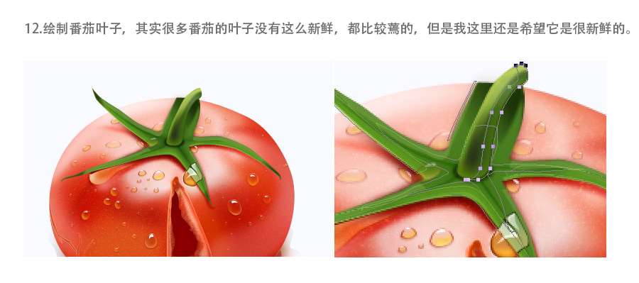 PS鼠绘成熟绽裂的西红柿 优图宝 PS鼠绘教程