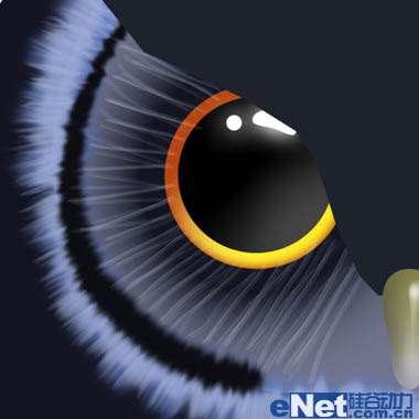 PS绘制一只猫头鹰 优图宝 PS鼠绘教程