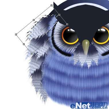 PS绘制一只猫头鹰 优图宝 PS鼠绘教程