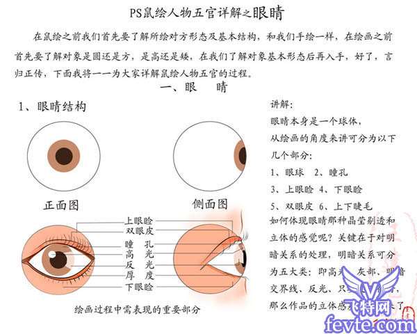 PS鼠绘逼真的人物眼睛 优图宝