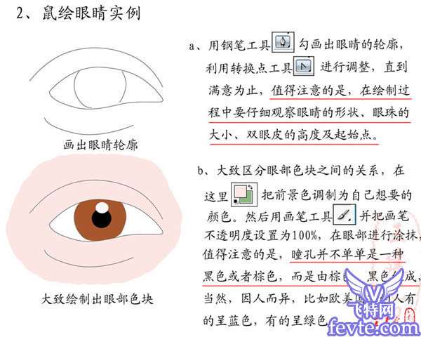 PS鼠绘逼真的人物眼睛 优图宝