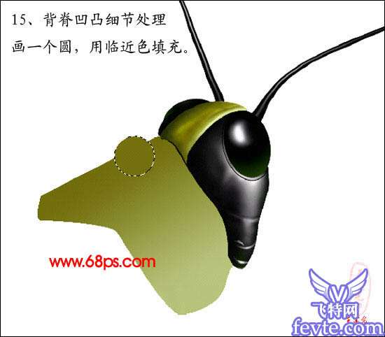 PS鼠绘非常逼真的蝗虫 优图宝