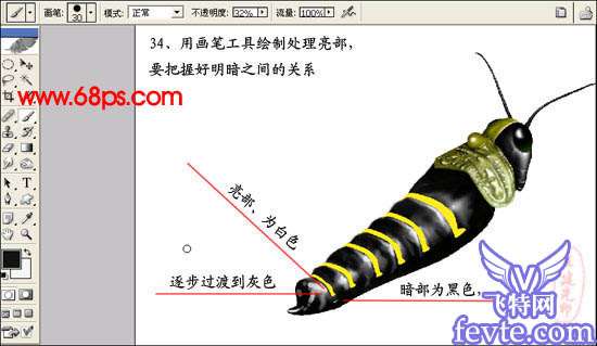 PS鼠绘非常逼真的蝗虫 优图宝