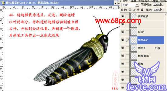 PS鼠绘非常逼真的蝗虫 优图宝