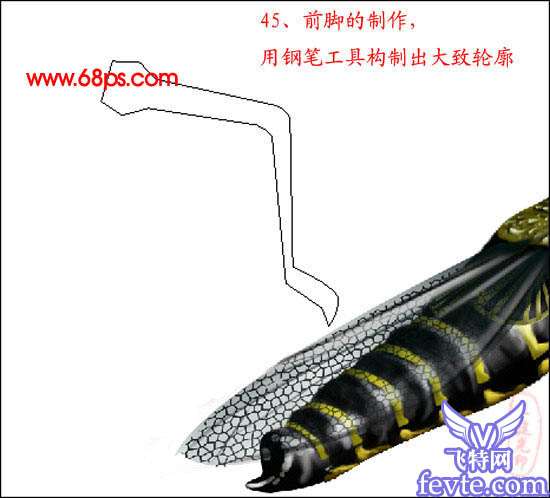 PS鼠绘非常逼真的蝗虫 优图宝