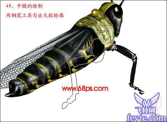 PS鼠绘非常逼真的蝗虫 优图宝