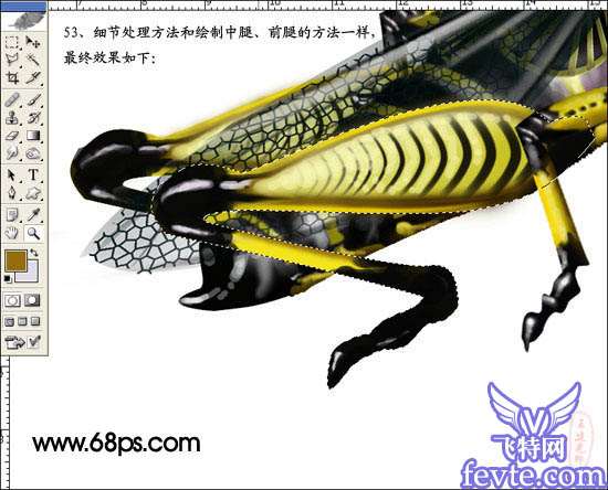 PS鼠绘非常逼真的蝗虫 优图宝