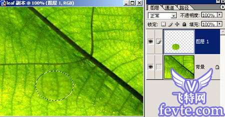 PS制作水珠 优图宝 fevte.com