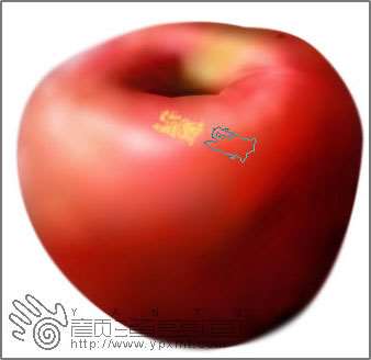 PS鼠绘史上最逼真的苹果 优图宝 PS鼠绘教程