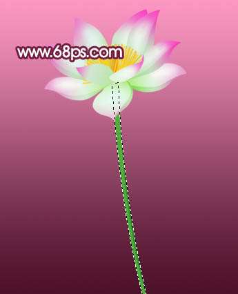PS鼠绘荷花 优图宝 PS鼠绘教程