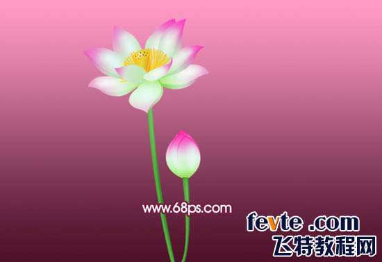 PS鼠绘荷花 优图宝 PS鼠绘教程