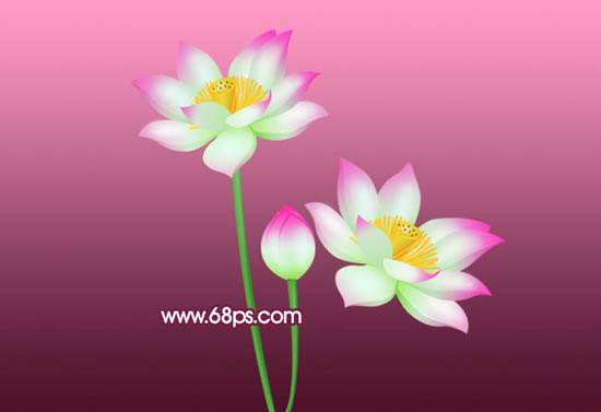 PS鼠绘荷花 优图宝 PS鼠绘教程