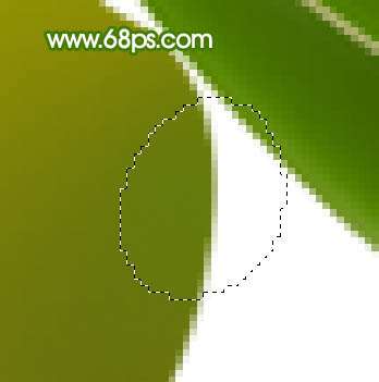 PS鼠绘快要成熟的青枣 优图宝 PS鼠绘教程