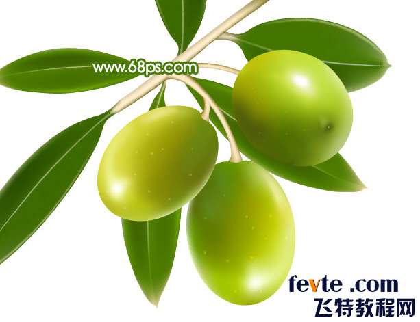 PS鼠绘快要成熟的青枣 优图宝 PS鼠绘教程