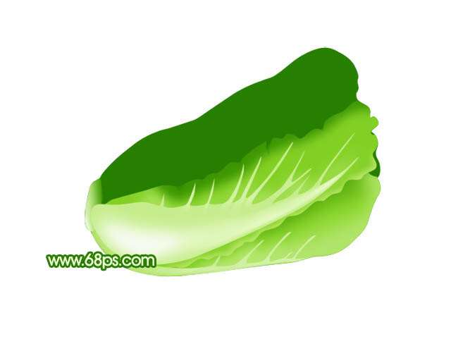 Photoshop鼠绘一棵逼真的白菜 优图宝 photoshop鼠绘教程