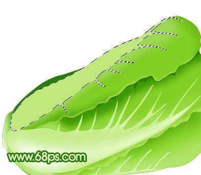 Photoshop鼠绘一棵逼真的白菜 优图宝 photoshop鼠绘教程