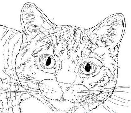 Photoshop鼠绘高清猫咪 优图宝 photoshop鼠绘教程