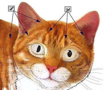 Photoshop鼠绘高清猫咪 优图宝 photoshop鼠绘教程