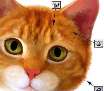 Photoshop鼠绘高清猫咪 优图宝 photoshop鼠绘教程