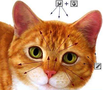 Photoshop鼠绘高清猫咪 优图宝 photoshop鼠绘教程
