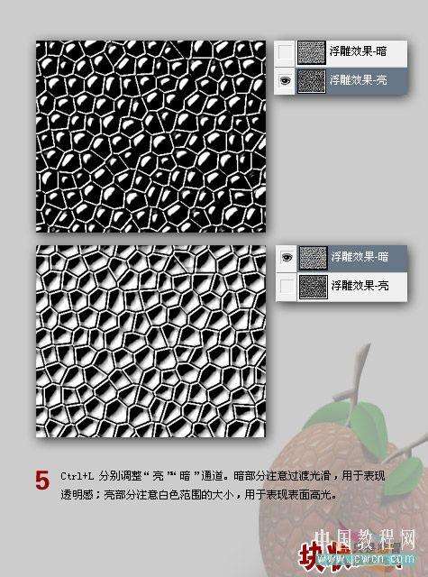 Photoshop绘制荔枝 优图宝 photoshop鼠绘教程