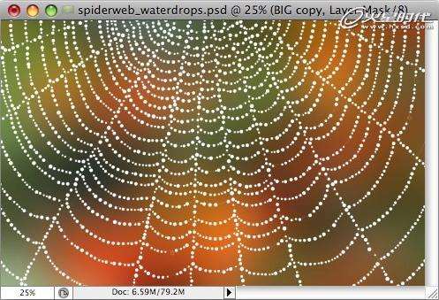 PS鼠绘蜘蛛网上晶莹的水珠 优图宝 PS鼠绘教程
