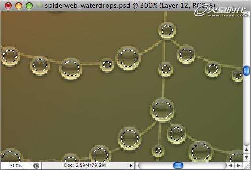 PS鼠绘蜘蛛网上晶莹的水珠 优图宝 PS鼠绘教程