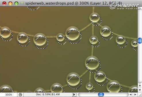 PS鼠绘蜘蛛网上晶莹的水珠 优图宝 PS鼠绘教程
