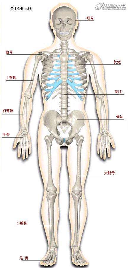 photoshop绘制远古怪物 优图宝 PS鼠绘教程