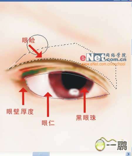PS鼠绘漂亮新娘 优图宝 PS鼠绘教程