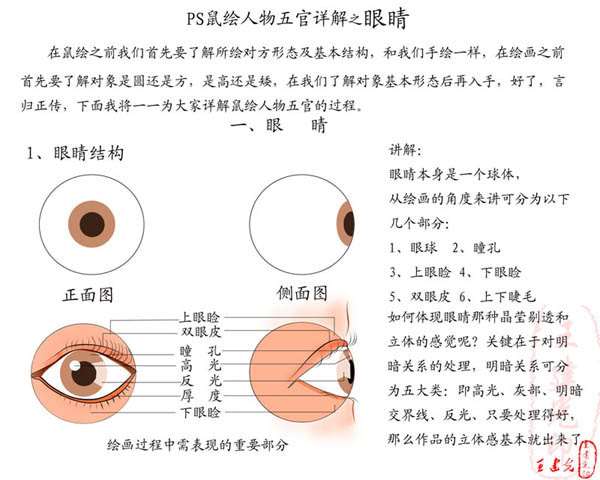 PS鼠绘逼真人物眼睛 优图宝 鼠绘教程