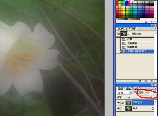 花卉照片处理：简化背景突出主体
