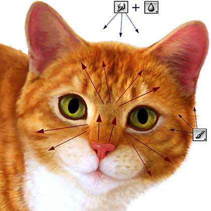 Photoshop制作超现实主义的猫的图片