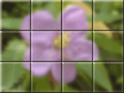 av bros puzzle pro 3.1 av bros puzzle pro 3.1