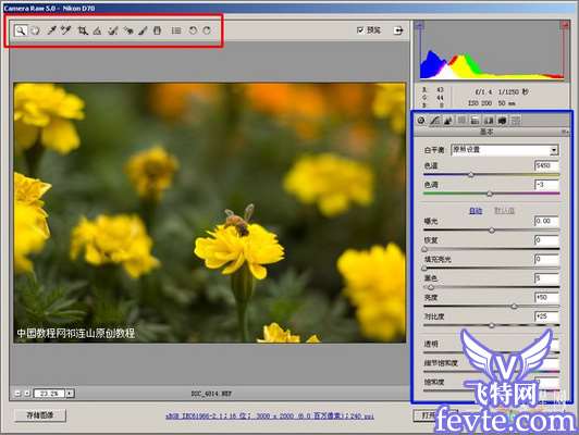 Adobe Camera Raw结合photoshop后期修图流程详解 优图宝网 四叶草原创教程