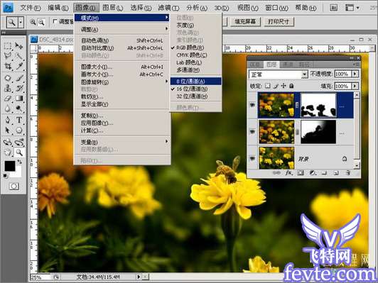 Adobe Camera Raw结合photoshop后期修图流程详解 优图宝网 四叶草原创教程