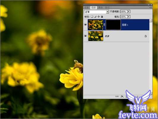 Adobe Camera Raw结合photoshop后期修图流程详解 优图宝网 四叶草原创教程